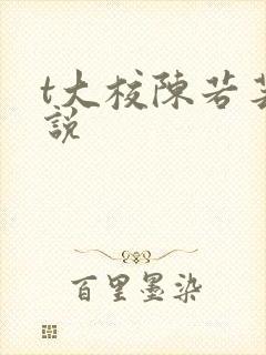 t大校陈若芸小说