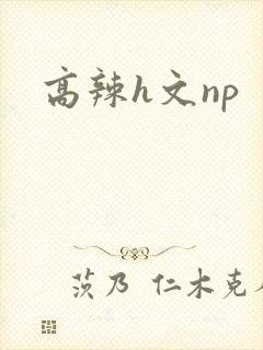 高辣h文np