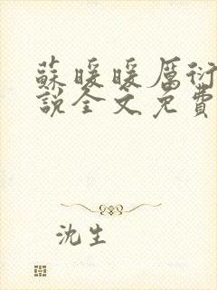 苏暖暖厉衍琛小说全文免费阅读