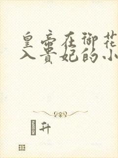 皇帝在御花园进入贵妃的小说