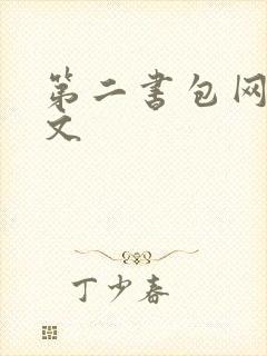 第二书包网高辣文封面