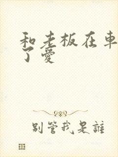 和老板在车里做了爱