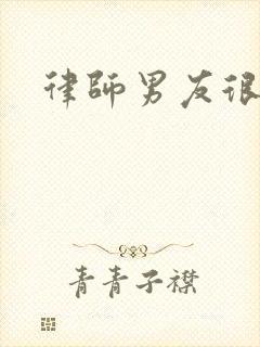 律师男友很难撩