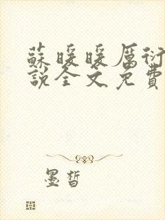 苏暖暖厉衍琛小说全文免费阅读