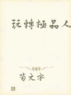 玩转极品人生封面