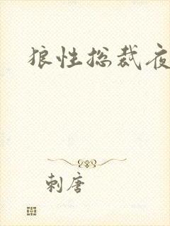 狼性总裁夜欢宠