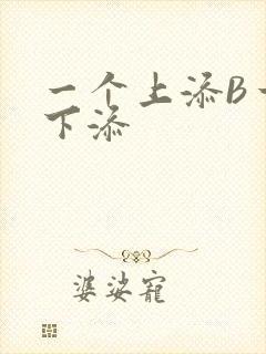 一个上添B一个下添