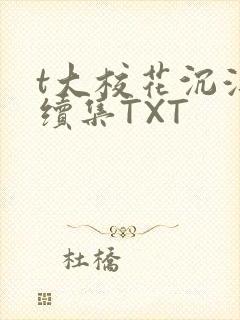t大校花沉浮录续集TXT