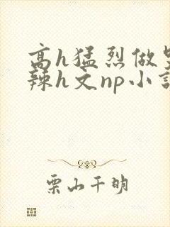 高h猛烈做哭高辣h文np小说