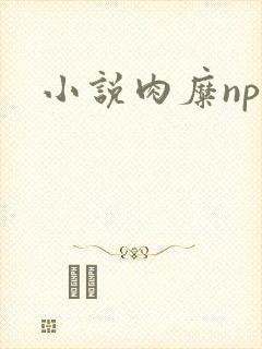 小说肉糜np封面