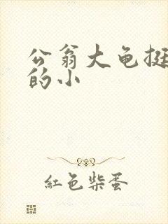 公翁大龟挺进我的小