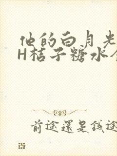 他的白月光HVH桔子糖水全文