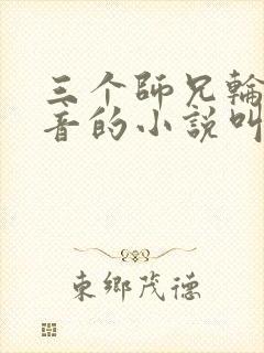 三个师兄轮流上音的小说叫什么