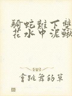 骑蛇难下双金银花水中泥鳅封面