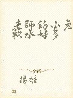 老师的小兔子好软水好多封面