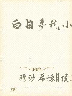 白日梦我小说