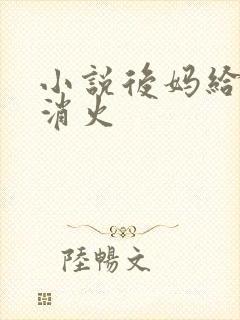 小说后妈给我消消火