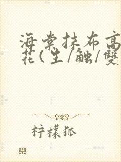 海棠抹布高岭之花(生/触/双)