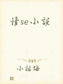 情se小说