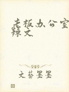 老板办公室系列辣文