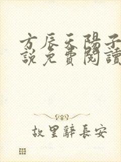 方辰天阳子的小说免费阅读封面