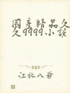 国产精品久久久久9999小说封面