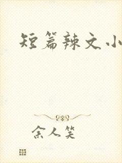 短篇辣文小说