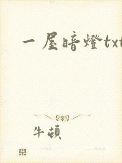 一屋暗灯txt