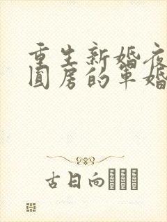 重生新婚夜正在圆房的军婚