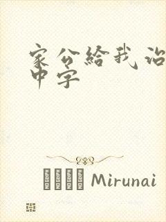 家公给我治疗5中字