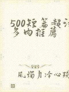 500短篇超污多肉推荐