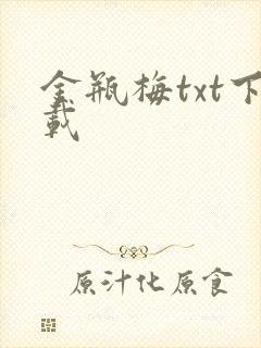 金瓶梅txt下载封面