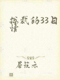 总裁的33日索情