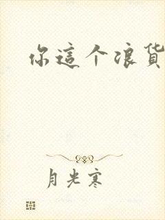 你这个浪货封面