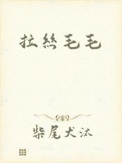 拉丝毛毛