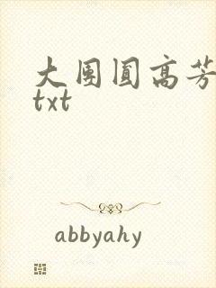 大团圆高芳小说txt封面