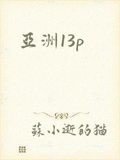 亚洲13p