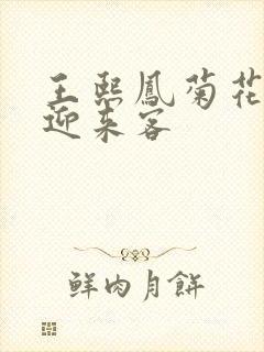 王熙凤菊花门初迎来客