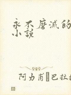 永不磨灭的番号小说封面