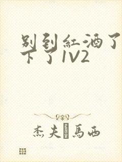 别到红酒了装不下了1V2