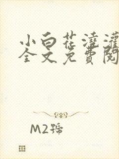 小白花浇灌日常全文免费阅读