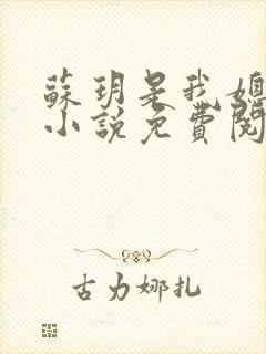 苏玥是我媳妇的小说免费阅读全文