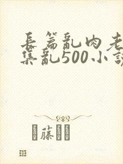 长篇乱肉老师合集乱500小说