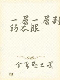 一层一层剥开我的衣服