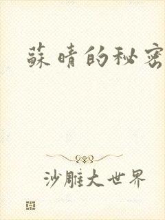 苏晴的秘密小说