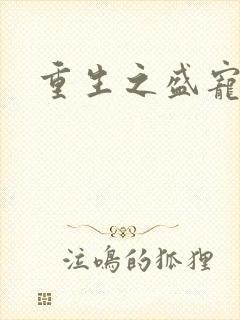 重生之盛宠封面