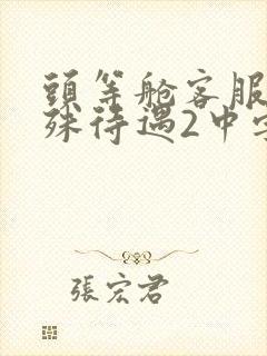 头等舱客服的特殊待遇2中字