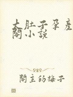 大肚子孕产笔趣阁小说