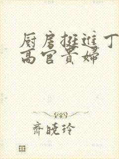 厨房挺进丁字裤高官贵妇