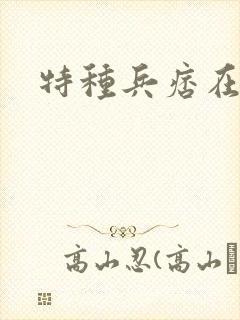 特种兵痞在都市